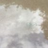 Vitre gauche de pare-brise (F) – Image 3